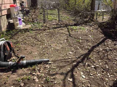 Leaf Removal service in Eagan, 55123
