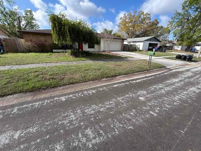 Leaf Removal service in Brandon, 33511