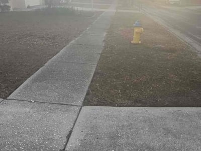 Leaf Removal service in Brandon, 33511