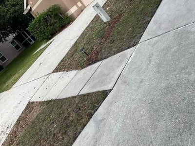 Leaf Removal service in Brandon, 33511