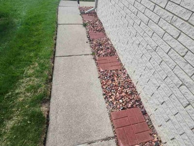 Leaf Removal service in Brandon, 33511