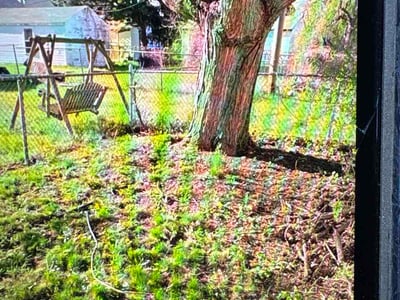 Leaf Removal service in Brandon, 33511