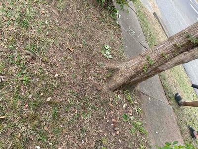 Leaf Removal service in Fuquay Varina, 27526