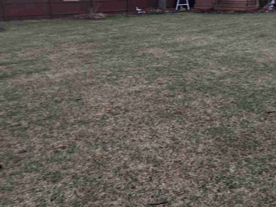 Leaf Removal service in Brooklyn Park, 55443