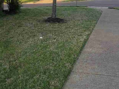 Lawn Care service in Redmond, 98052
