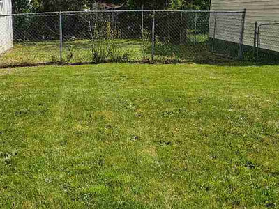Lawn Care service in Christiansburg, 24073