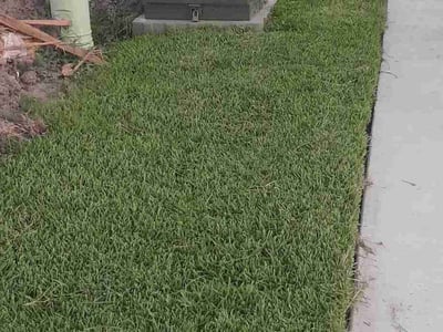 Lawn Care service in Ansonia, 06401