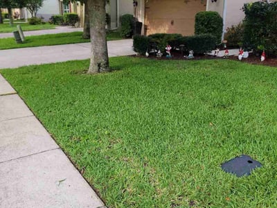 Lawn Care service in Frostproof, 33843