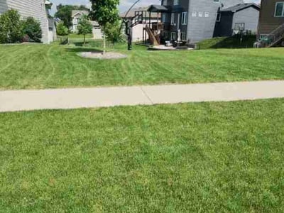Lawn Care service in Clive, 50325