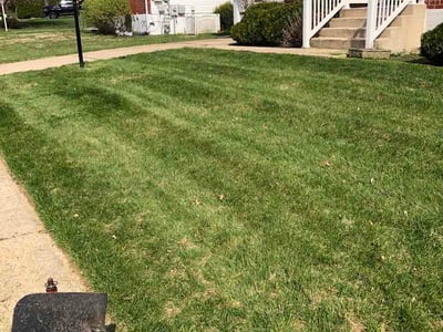 Lawn Care service in White Marsh, 21236