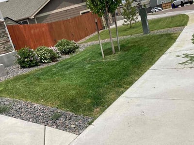 Lawn Care service in Colorado Springs, 80903
