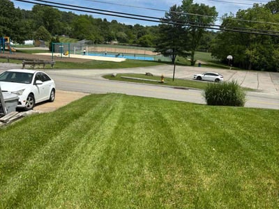 Lawn Care service in Allison Park, 15101
