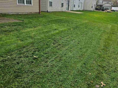 Lawn Care service in Washington, 15301