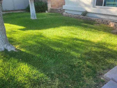 Lawn Care service in Cave Creek, 85331
