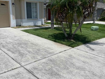 Lawn Care service in Wesley Chapel, 33543