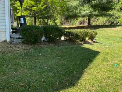 Leaf Removal service in Lawrence, 46226