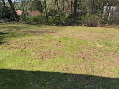 Lawn Care service in Ellington, 06029