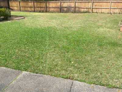 Leaf Removal service in Milton, 32570