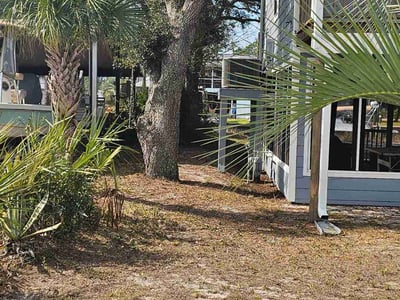 Leaf Removal service in Milton, 32570