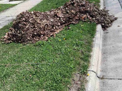 Leaf Removal service in Wausau, 54403