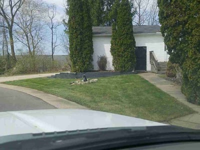 Leaf Removal service in Waterford, 48329