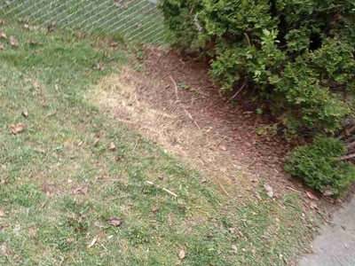 Leaf Removal service in Waterford, 48329