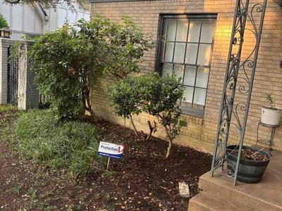 Leaf Removal service in North Richland Hills, 76180