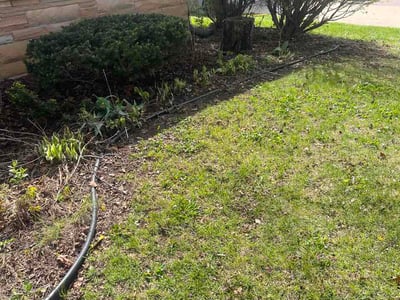 Leaf Removal service in Racine, 53403