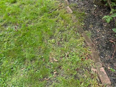Leaf Removal service in Parma, 44129