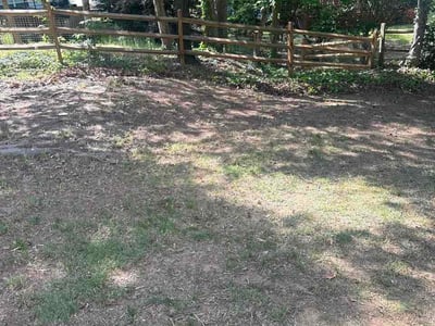 Leaf Removal service in Mooresville, 28115