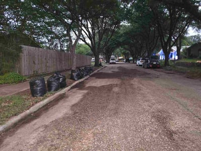 Leaf Removal service in Garland, 75040