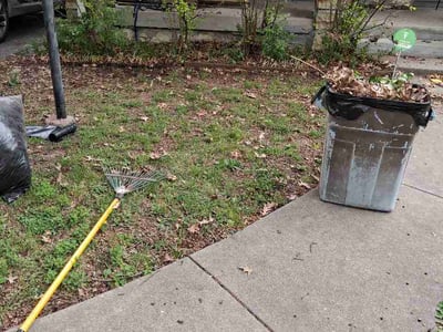 Leaf Removal service in Liberty, 64068