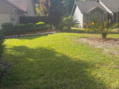 Leaf Removal service in Cape Coral, 33904