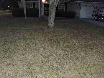 Leaf Removal service in DeLand, 32720