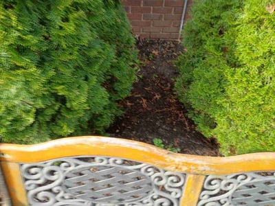 Leaf Removal service in Golden Valley, 55422