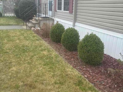 Leaf Removal service in Brandon, 33511