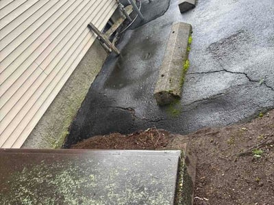 Leaf Removal service in Brandon, 33511