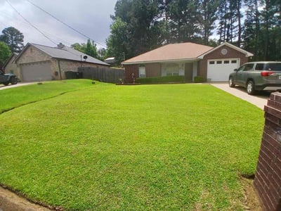 Lawn Care service in Henderson, 75652