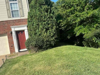 Lawn Care service in Spotsylvania, 22553