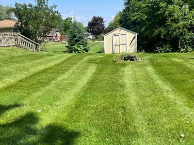 Lawn Care service in Kaukauna, 54130