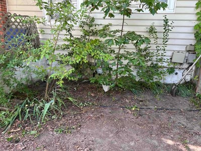 Lawn Care service in Henrico, 23294