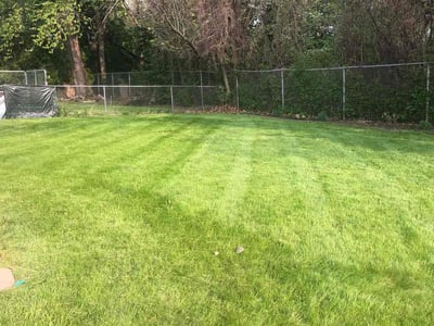 Lawn Care service in Rochester, 03867