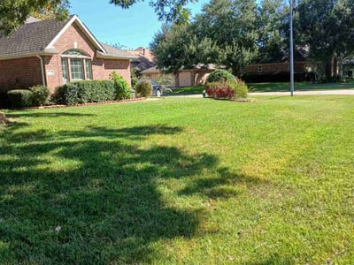 Lawn Care service in Liberty, 77575
