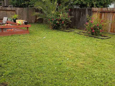 Lawn Care service in Fairfield, 94533