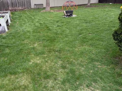 Lawn Care service in Sun Prairie, 53590