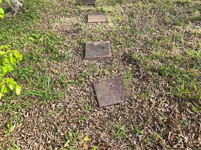 Lawn Care service in North Miami Beach, 33162