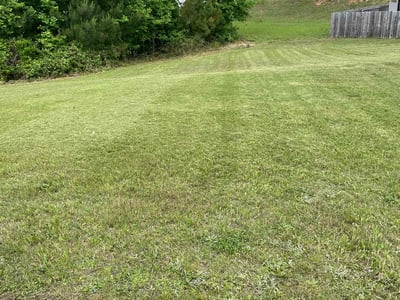 Lawn Care service in Sunset Beach, 28468