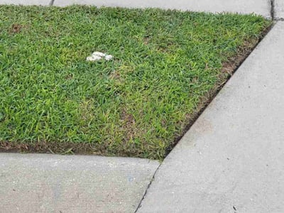 Lawn Care service in Texarkana, 71854