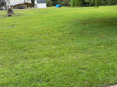 Lawn Care service in Stroudsburg, 18360