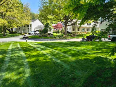 Lawn Care service in Denver, 17517